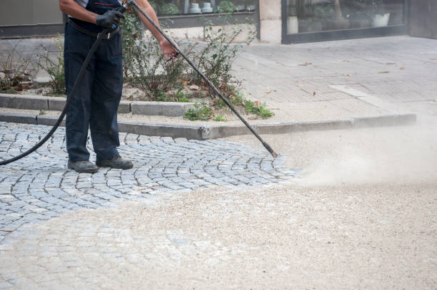 Trusted Payne, OH Pressure Washing Services Experts